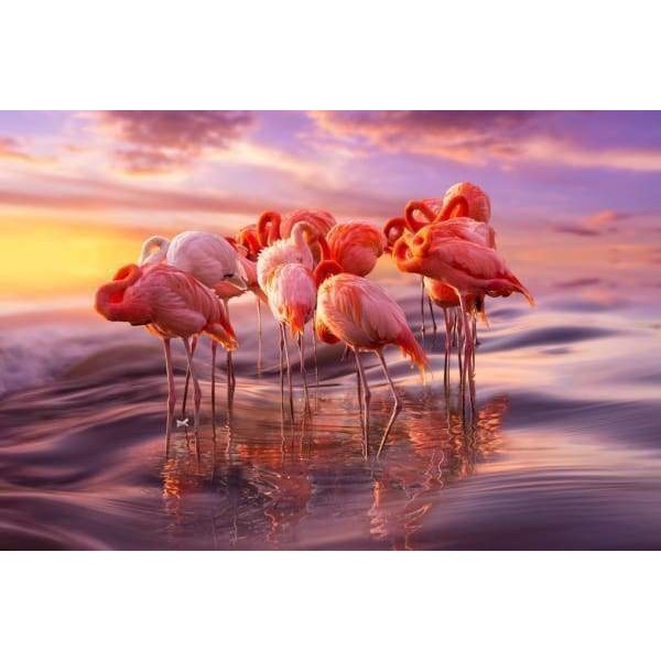 Wavy Flamingos