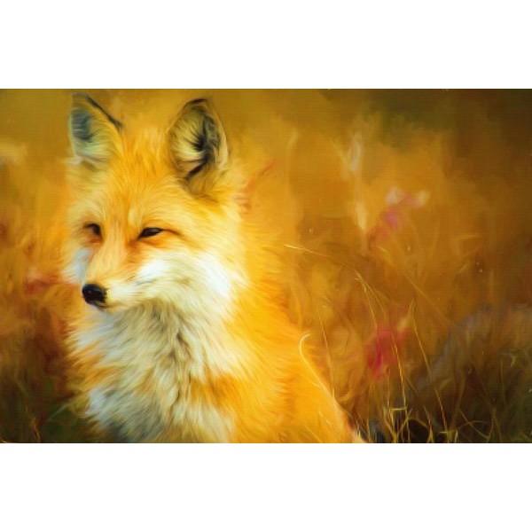 Pensive Fox
