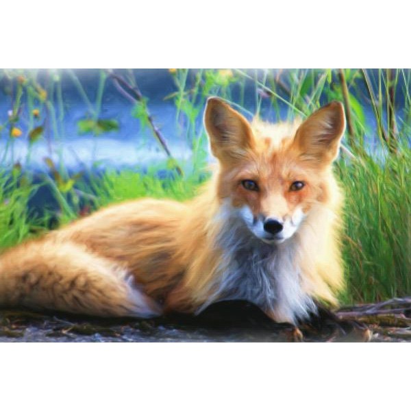 Posing Fox