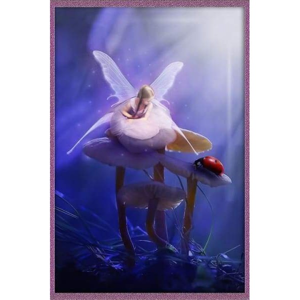 The Ladybug Princess