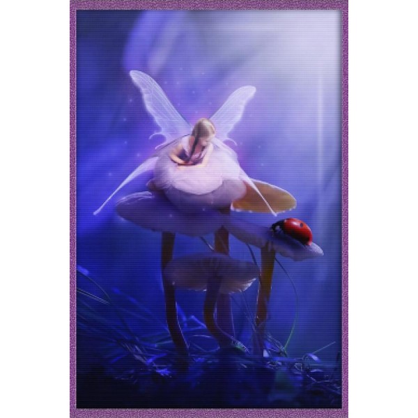 The Ladybug Princess