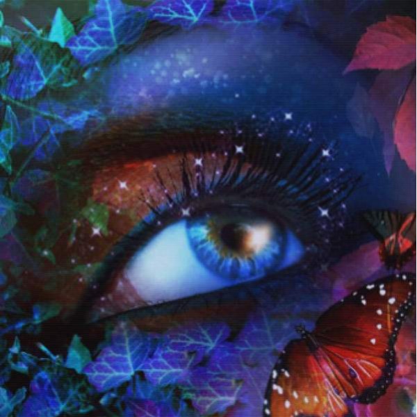 Enchanted Butterfly Eyes
