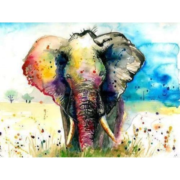 The Rainbow Elephant