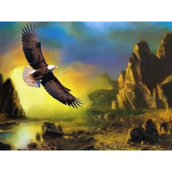 Eagle Over Land