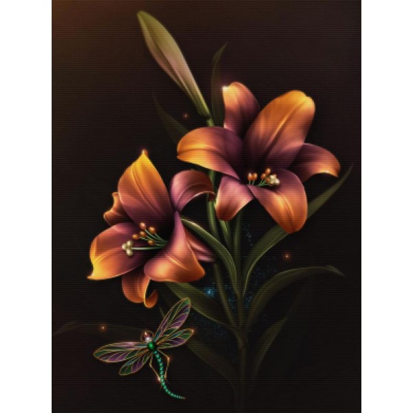 Dragonfly Illumination 2