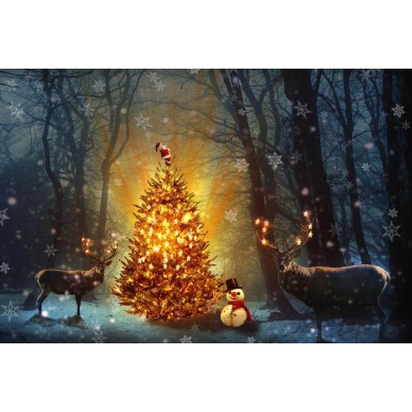 Christmas Forest Party