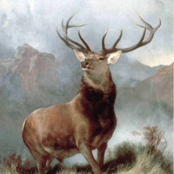 Monarch Of The Glen