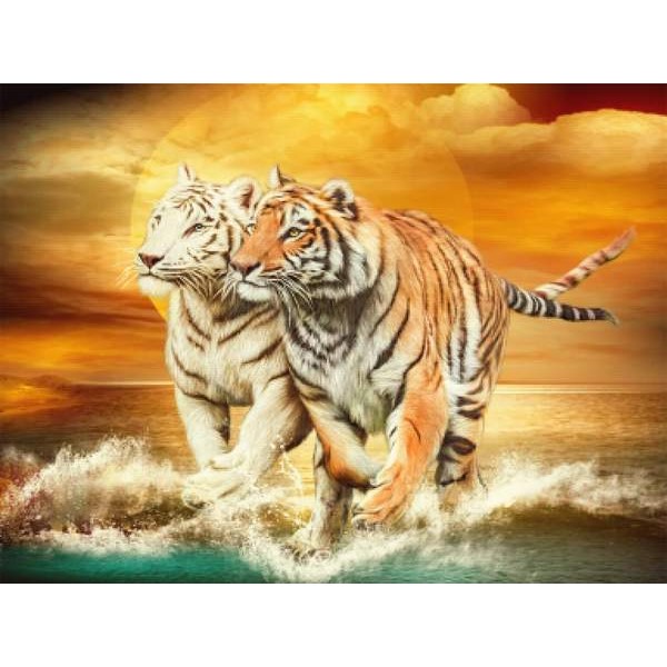 Tiger Run