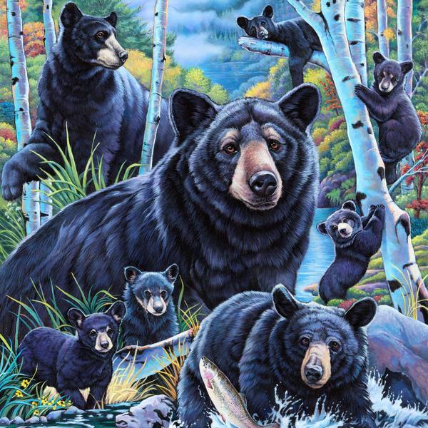 Bears in the Birches