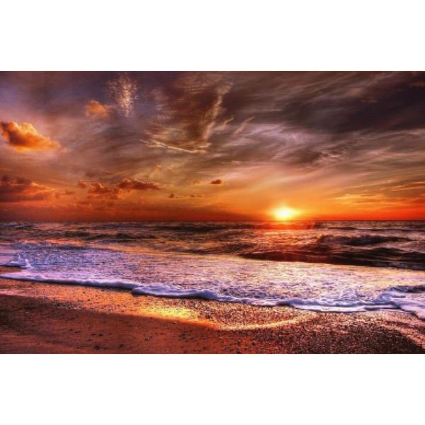 Standing At The Shore