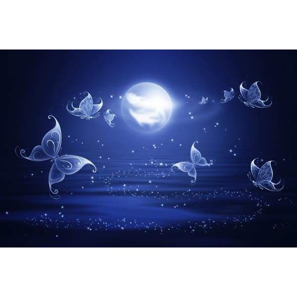 Butterfly Midnight Fantasy
