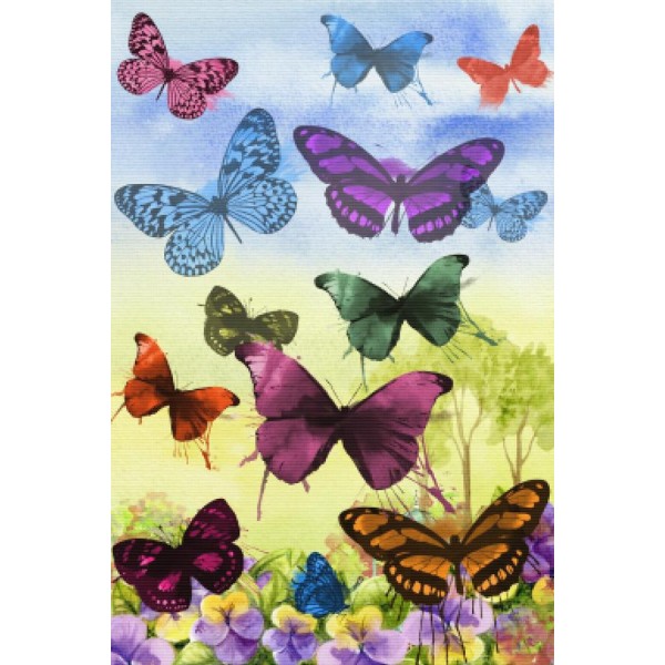 Colors Of The Rainbow