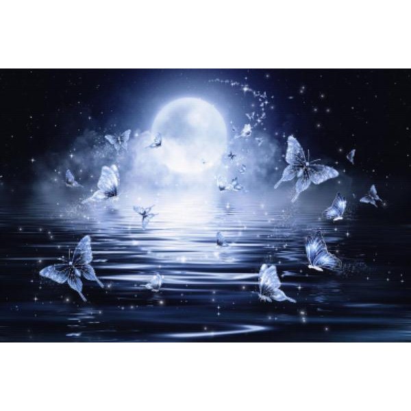 Butterflies At Midnight