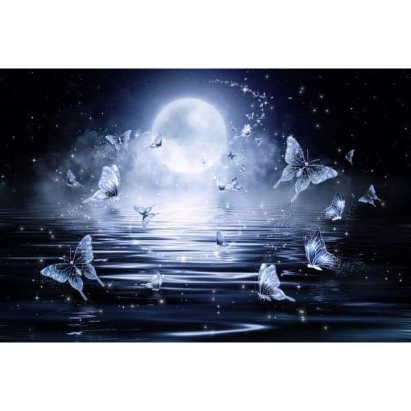 Butterflies At Midnight