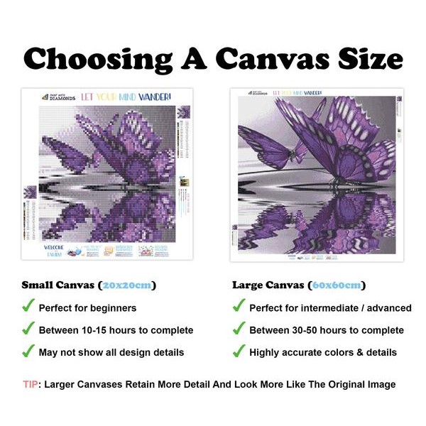 Butterfly Reflections