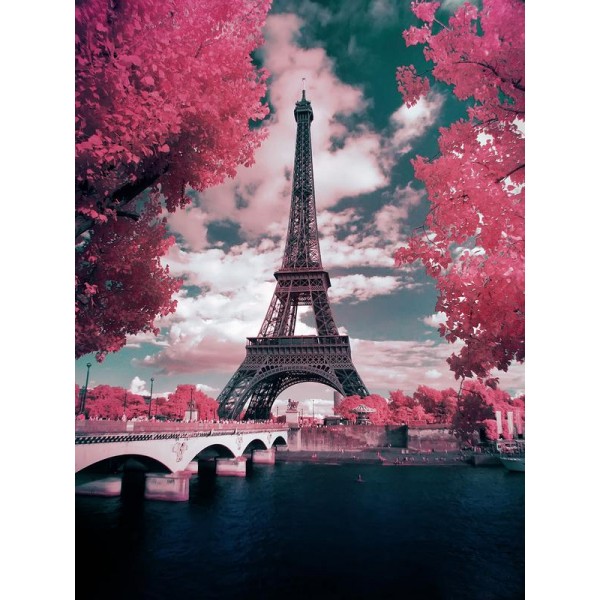 Pink Parisian Trees - Ships From US