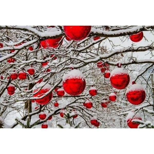 Ornaments In The Forest