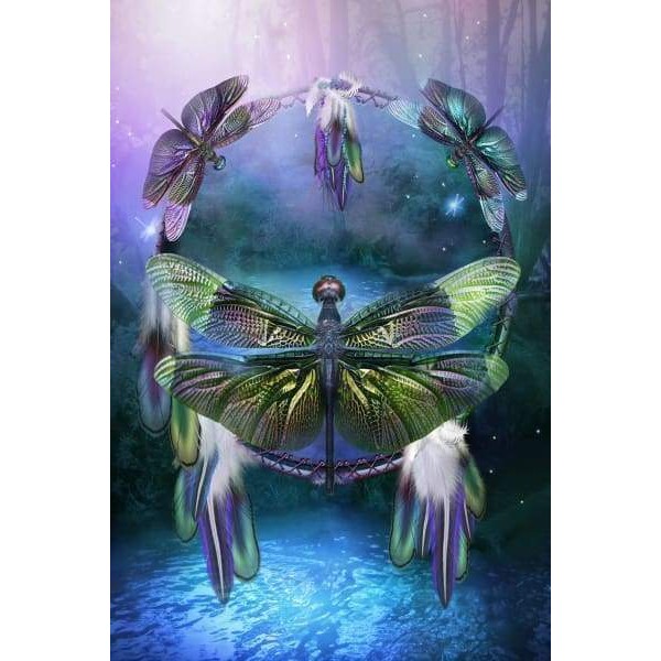 Spirit Of The Dragonfly