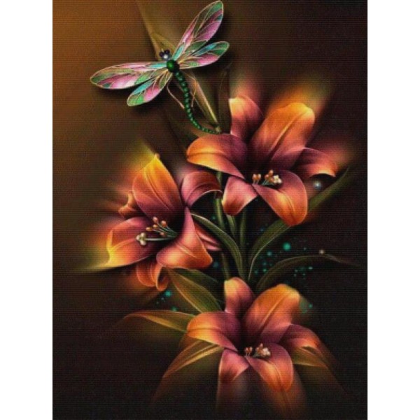 Dragonfly Illumination