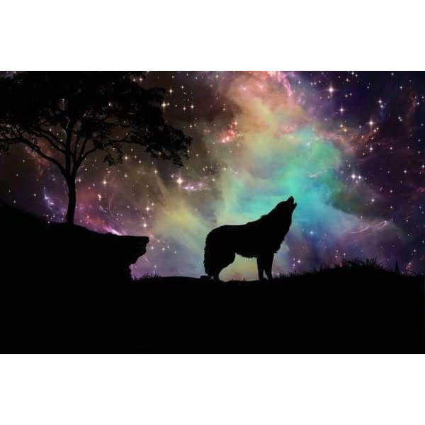 Starry Night Wolf
