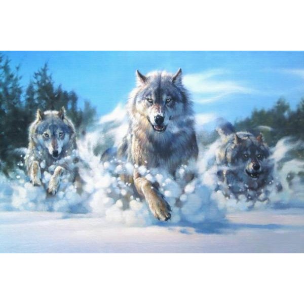 Wolf Pack