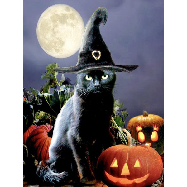 Witchy Black Halloween Cat